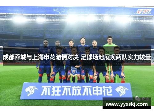 成都蓉城与上海申花激情对决 足球场地展现两队实力较量