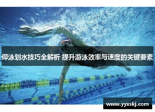 仰泳划水技巧全解析 提升游泳效率与速度的关键要素