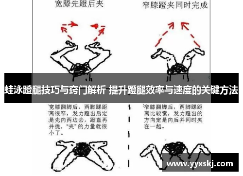 蛙泳蹬腿技巧与窍门解析 提升蹬腿效率与速度的关键方法
