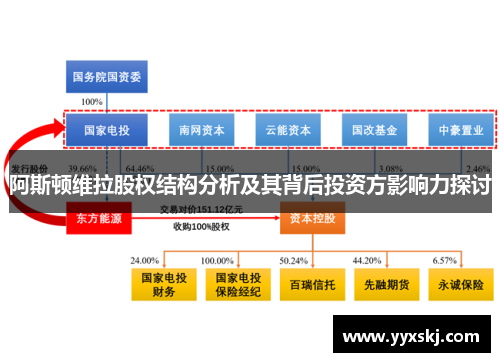 阿斯顿维拉股权结构分析及其背后投资方影响力探讨